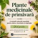 @morosanmonicamihaela