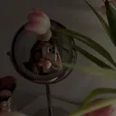 @carlottafenja