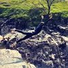 cliffdivingadventures