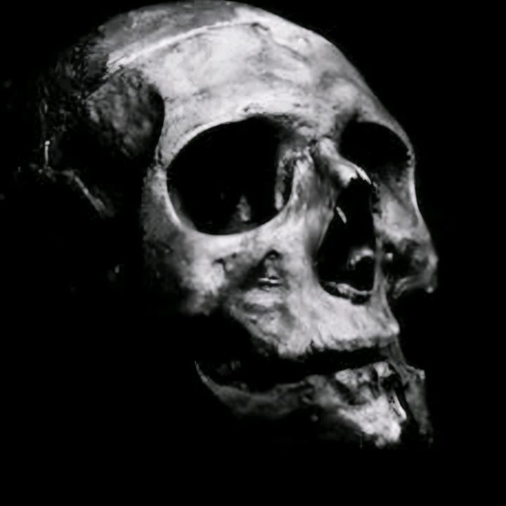 HorrorQueenGirl - original sound