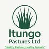 itungo161