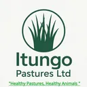 @itungo161