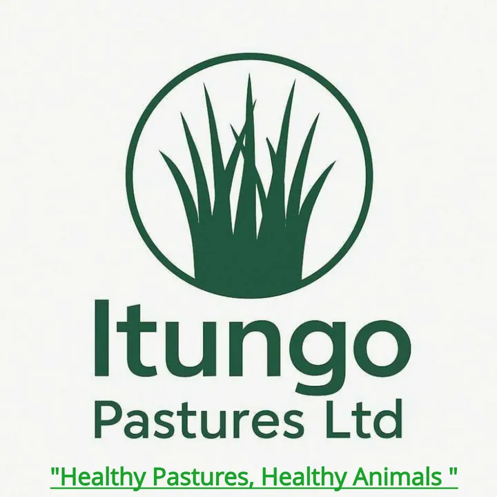 @itungo161