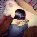 @zoxchyl_