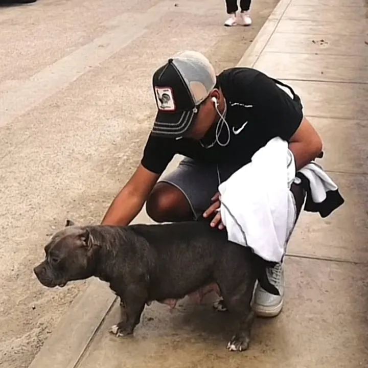 @josue.maguina11