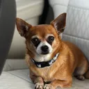 @sebastian.soler20