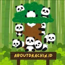 @aboutdrachin.id
