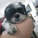 @myle_1118