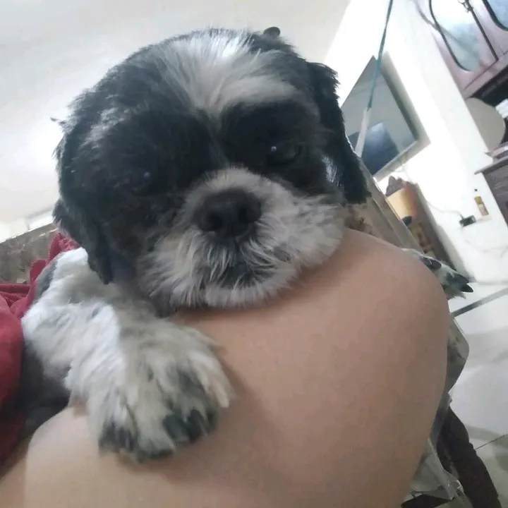 myle_1118
