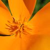 naturesvisualcandy