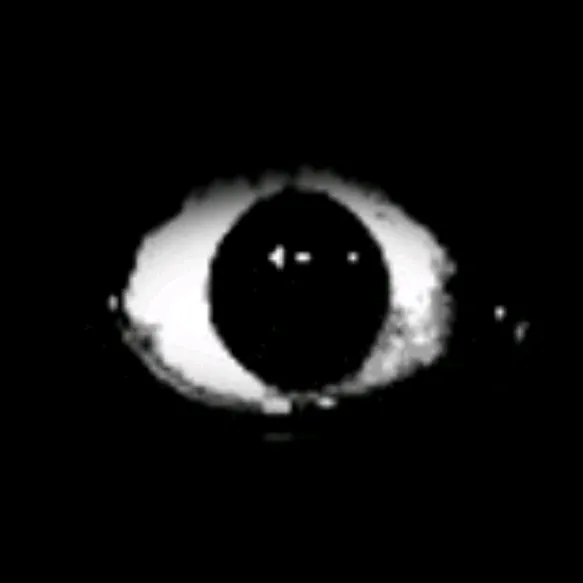 skwwq52