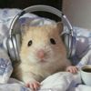 freemusic1688