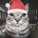 @robert28122