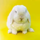 @t.y67548