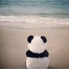 bluntpanda