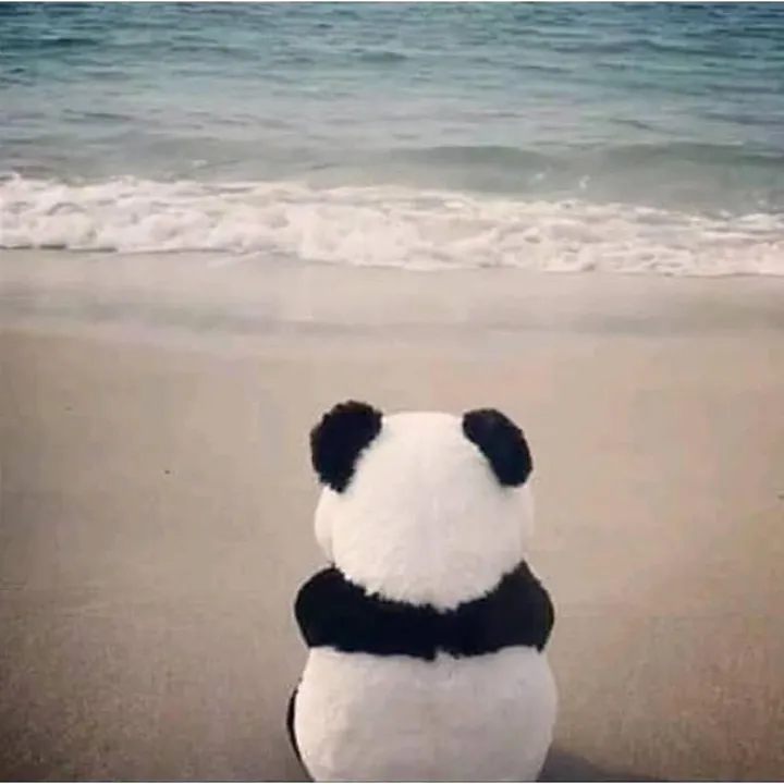 @bluntpanda