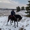 ergaliev_7222