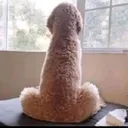@r_h.lt