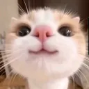 @ogkarz