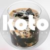 team.koto