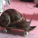 @glitterkittyxd