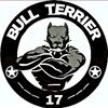 bullterrier17
