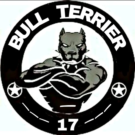 bullterrier17