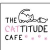 thecattitudecafe