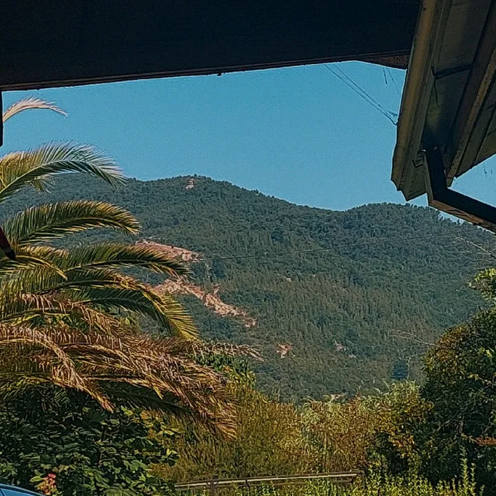 franosmanleivam