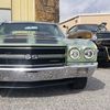 greenchevelless