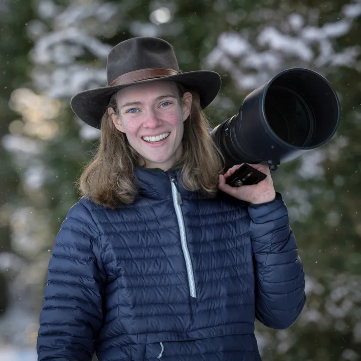 juliacookwildlife
