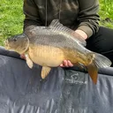 @m1tch3ll83