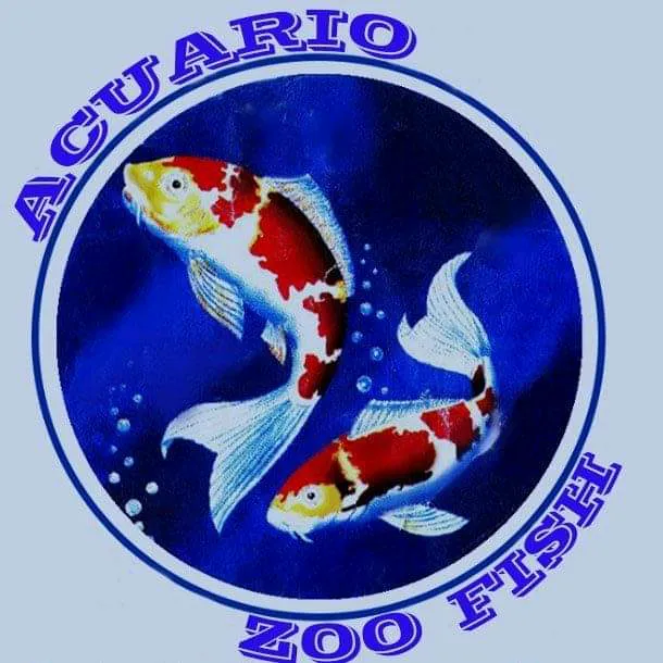 @acuariozoofish