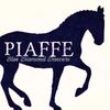 dressage_summercamp