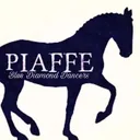 @dressage_summercamp