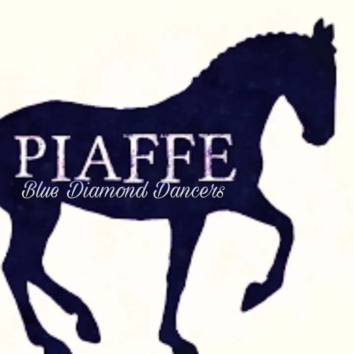 dressage_summercamp