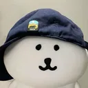 @can450881