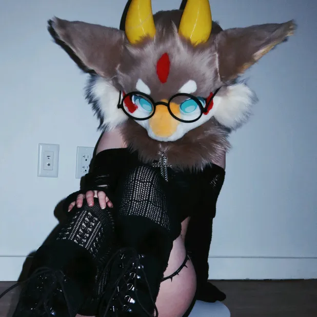 isopawda