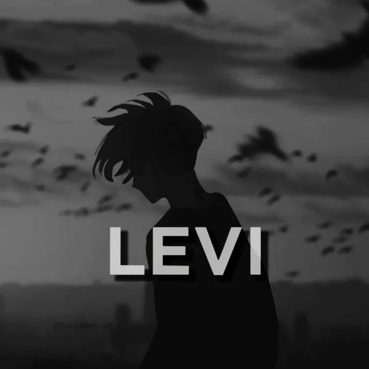@rk.levi01