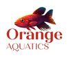 orange.aquatics