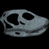 shunosaurus_clubbed