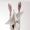 @charlieebunnyy