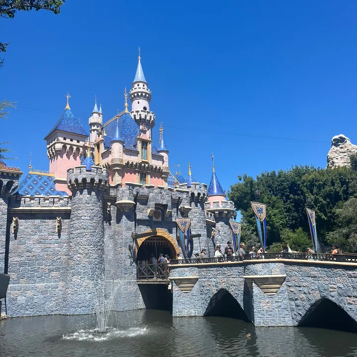 @2disneysisters