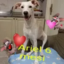 @zitocalogera