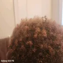 @swannyswanny75