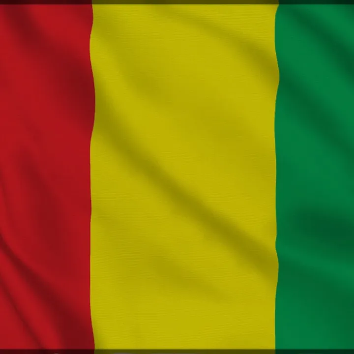 affairageconakry224