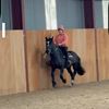 ems.riding.acc
