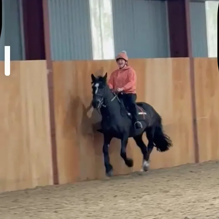 @ems.riding.acc