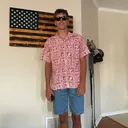 @lambpunting