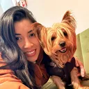 @mao_cokito